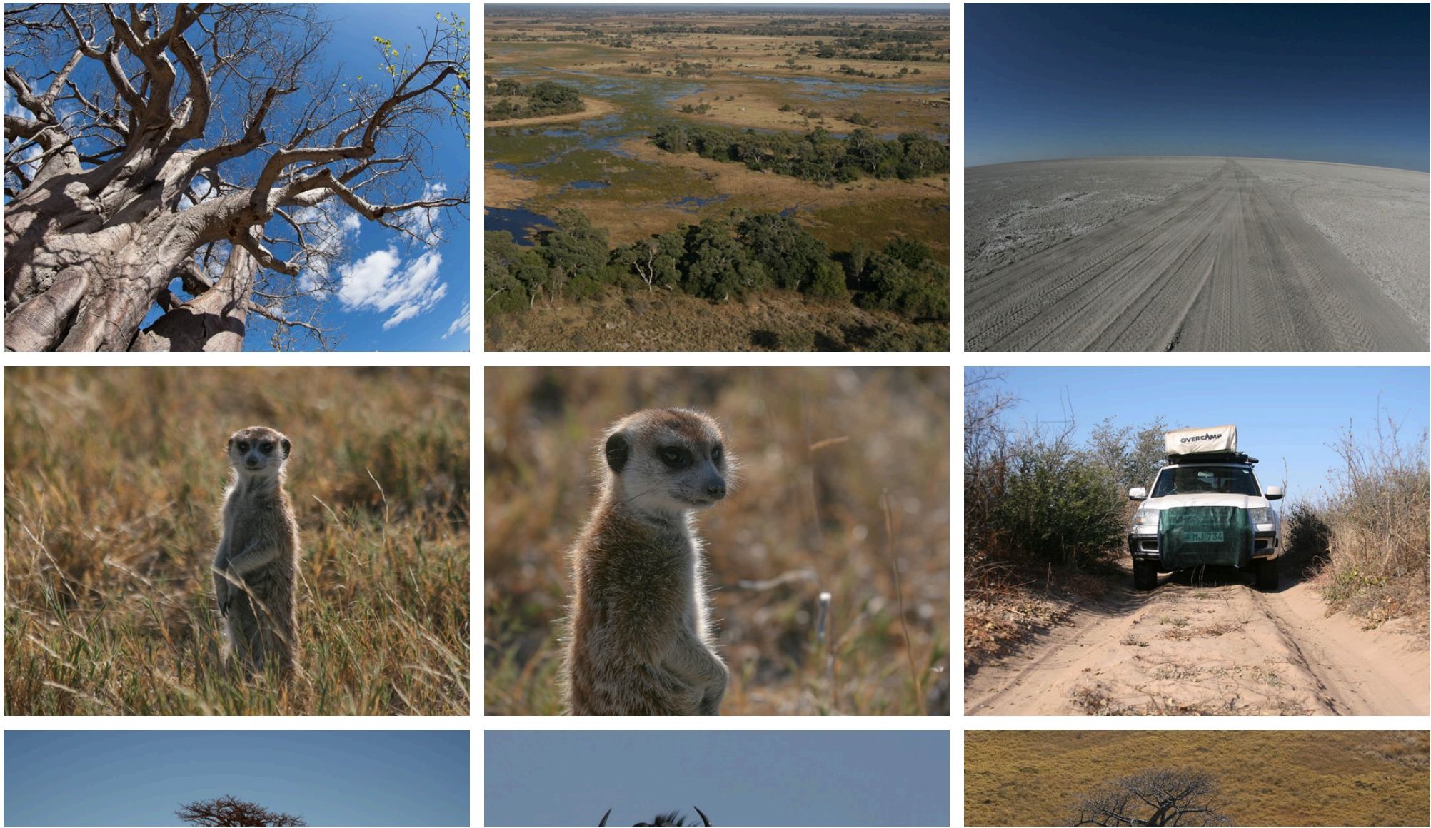 Fotocollage aus der Kalahari mit Baobab, Erdmännchen, Salzpfanne und Reisefahrzeug