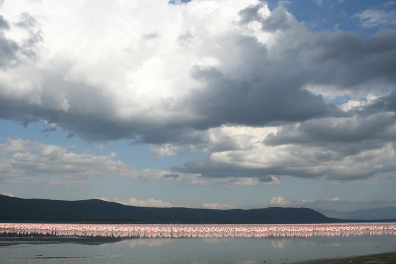 Lake Turkana mit Flamingos und Wolken