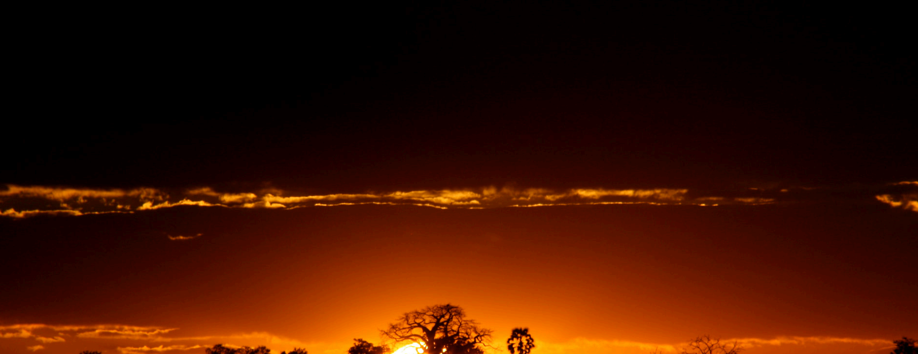 Sonnenuntergang über dem Chobe mit Baobab-Silhouette, Sambia