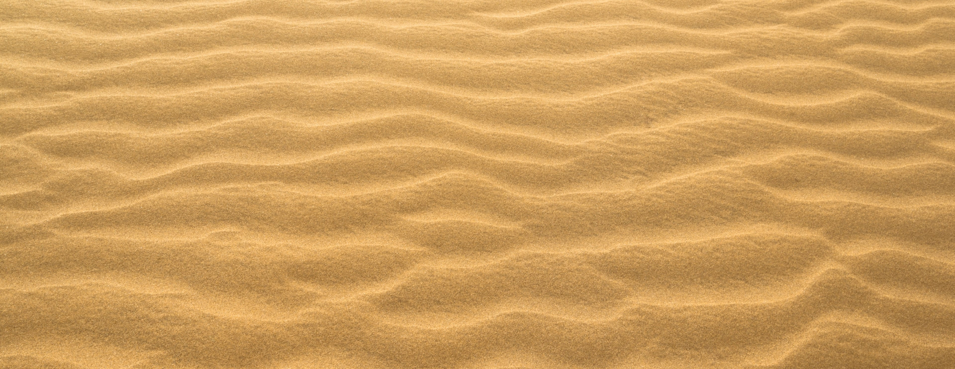 Nubische Wüste im Sudan – Foto von Yvonne Frei